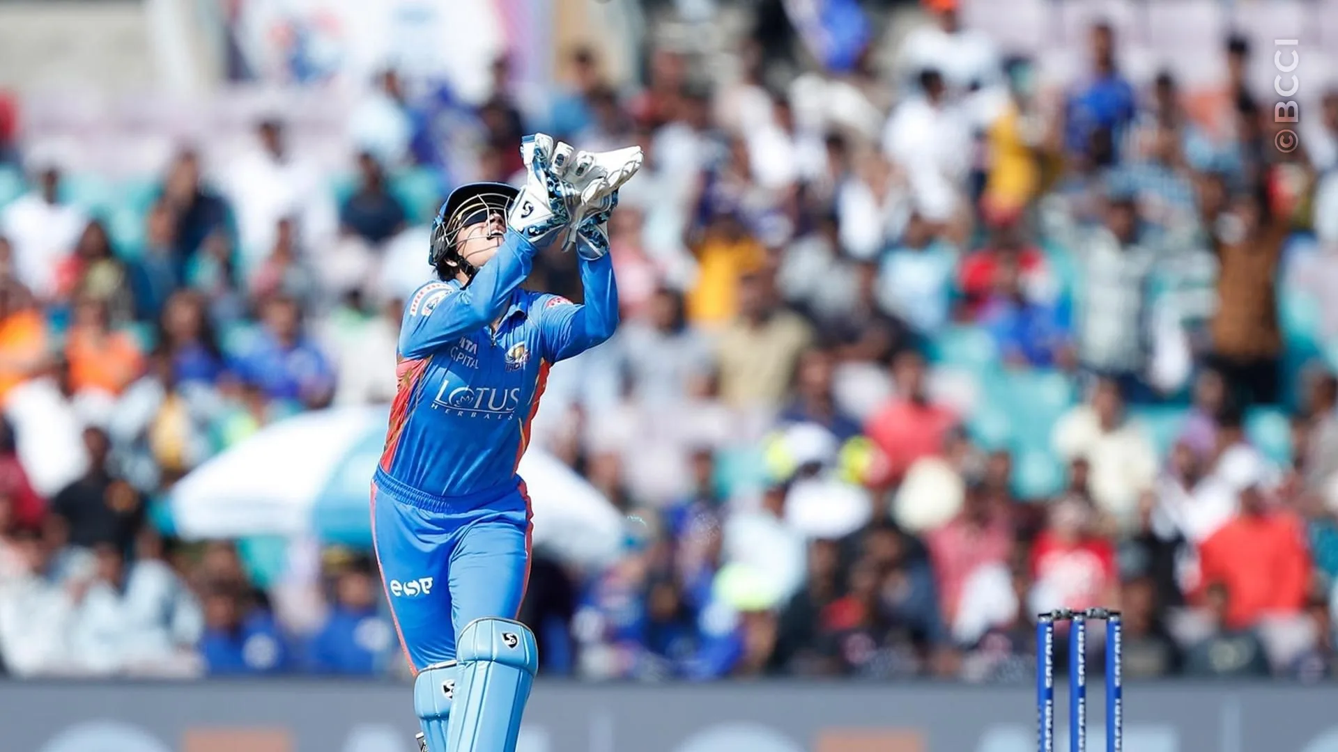 Match Album: Match 19 - Royal Challengers Bangalore vs Mumbai Indians — photo 15
