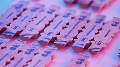 TATA WPL 2025 Player Auction List Announced