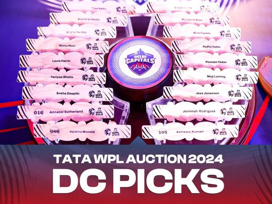 wpl-auction-2024delhiteam-6342679873112.Click to read full article.